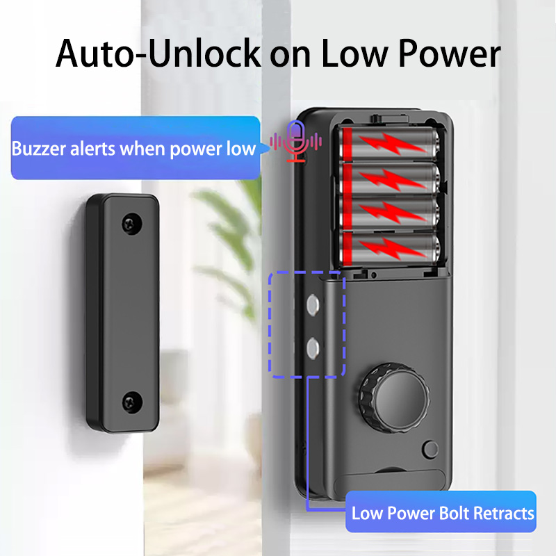 XSDTS Fingerprint Password Car - Power Tools Aeg review and price